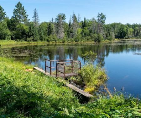 Paulding Pond Campground and Picnic Area