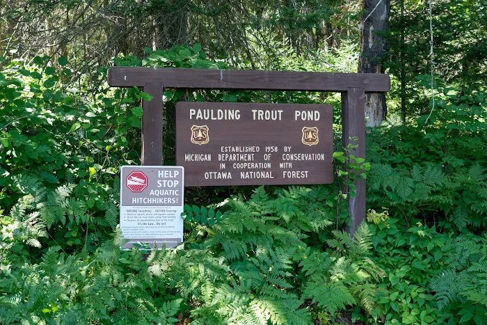 Paulding Pond Campground and Picnic Area Picture 3