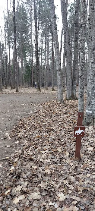 Courtney Lake Campground Picture 4