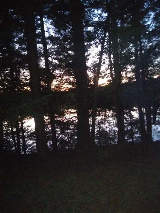 Courtney Lake Campground Picture 5