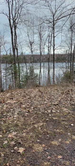 Courtney Lake Campground Picture 3