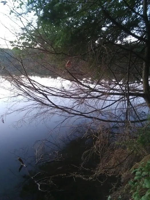 Courtney Lake Campground Picture 9