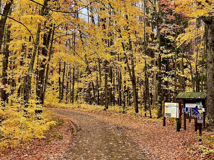 Courtney Lake Campground Picture 10