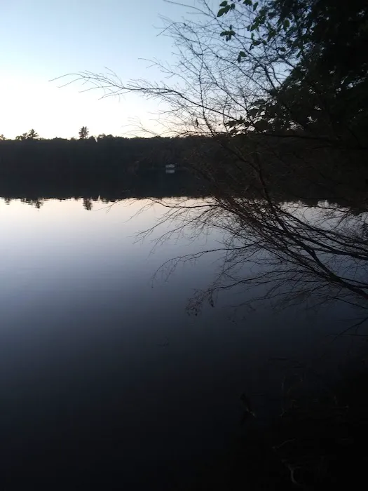 Courtney Lake Campground Picture 6