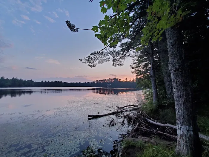 Emily Lake State Forest Campground Picture 1
