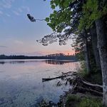 Emily Lake State Forest Campground