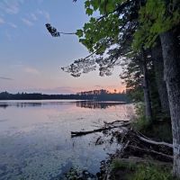 Emily Lake State Forest Campground ico