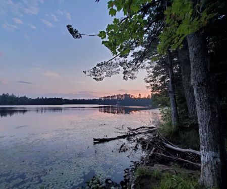 Emily Lake State Forest Campground