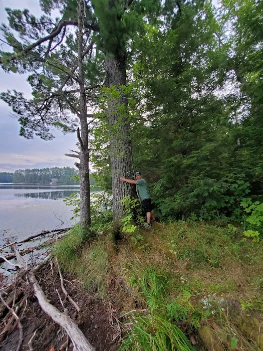 Emily Lake State Forest Campground Picture 4