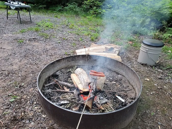 Emily Lake State Forest Campground Picture 2
