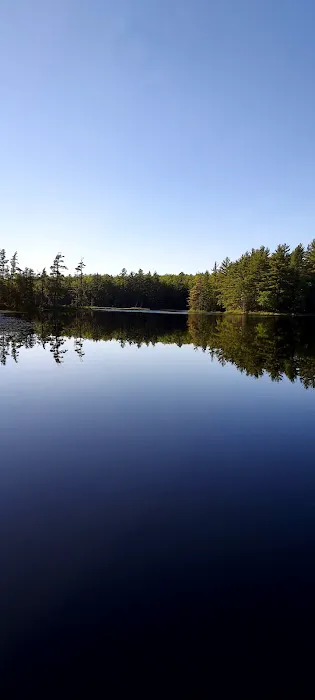 Emily Lake State Forest Campground Picture 5