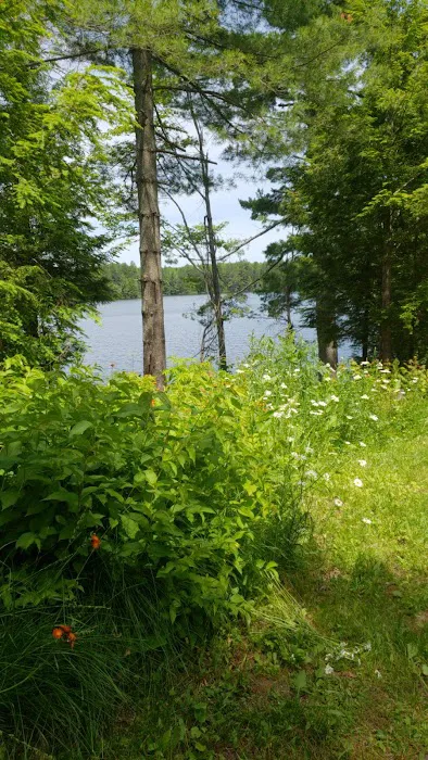 Emily Lake State Forest Campground Picture 7