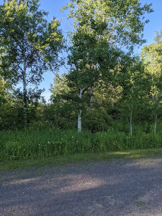 Stannard Township RV Campground Picture 6