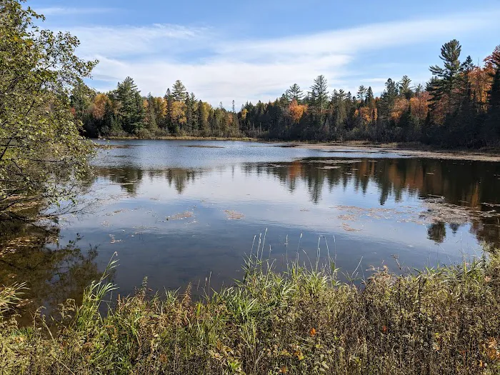 Robbins Pond Campground Picture 1