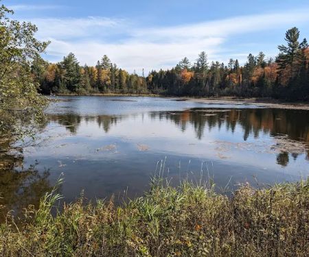 Robbins Pond Campground