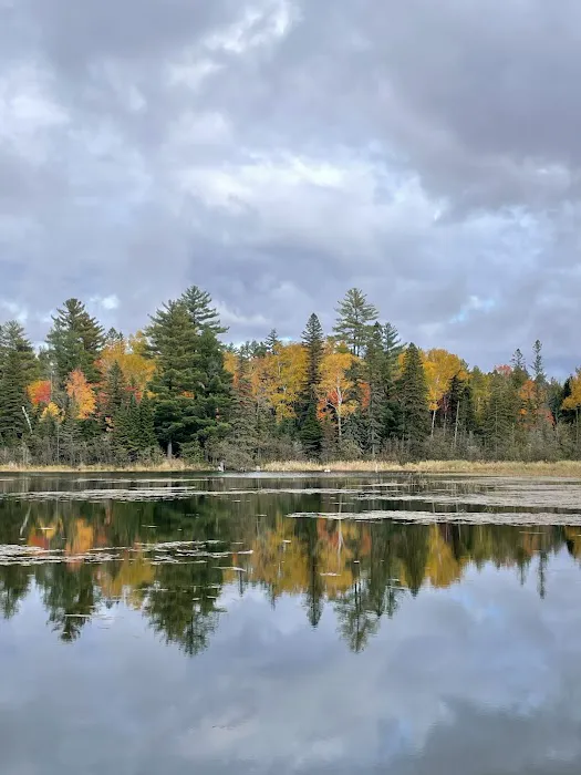 Robbins Pond Campground Picture 3