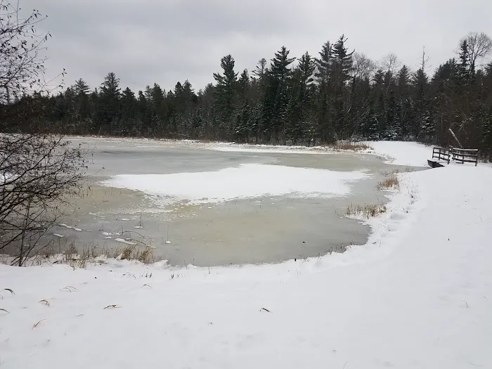 Robbins Pond Campground Picture 8