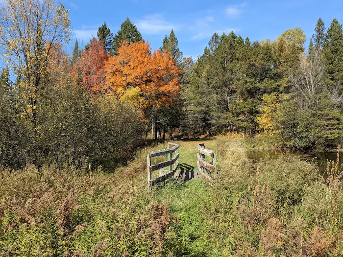 Robbins Pond Campground Picture 7