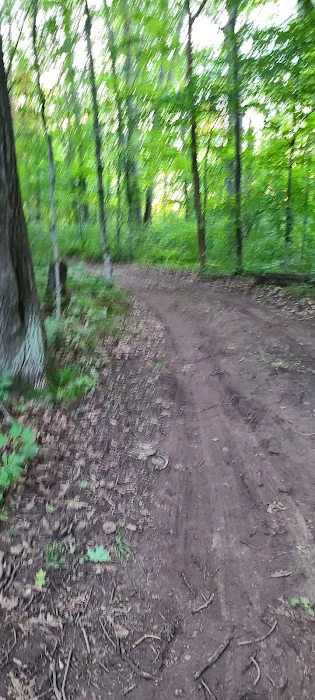 Seneca Campsite Picture 7