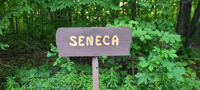 Seneca Campsite Picture 1