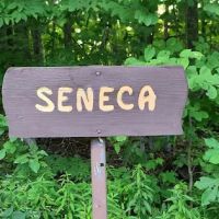 Seneca Campsite ico