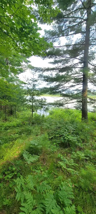 Seneca Campsite Picture 3