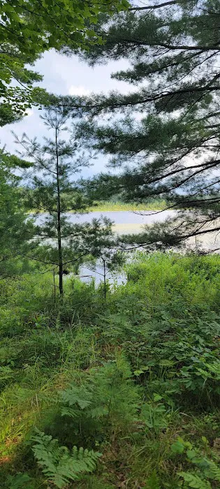 Seneca Campsite Picture 4