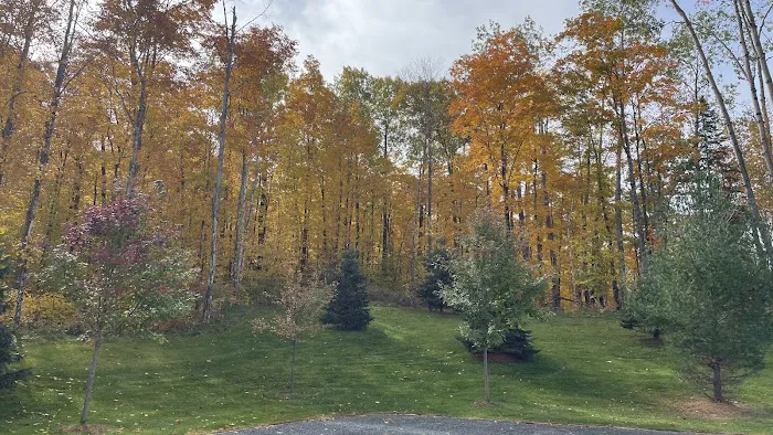 Shell Lake Municipal Campground Picture 6