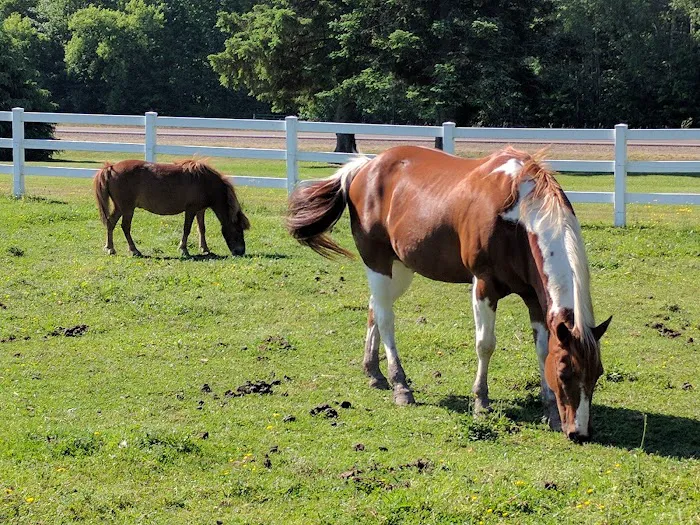 Red Barn Campground Picture 6