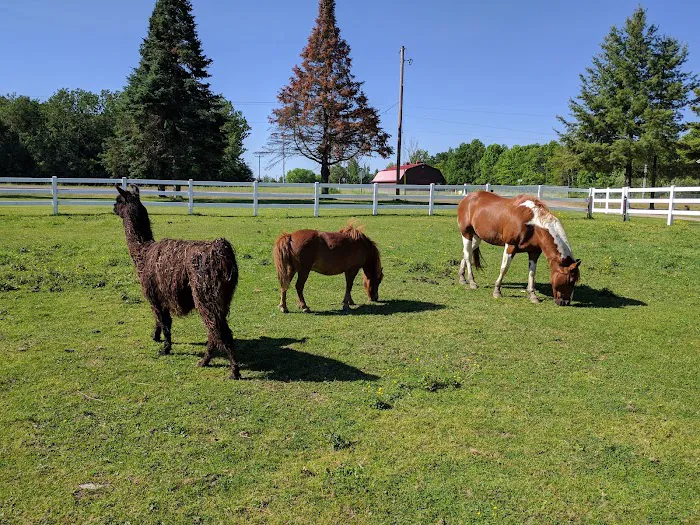 Red Barn Campground Picture 7