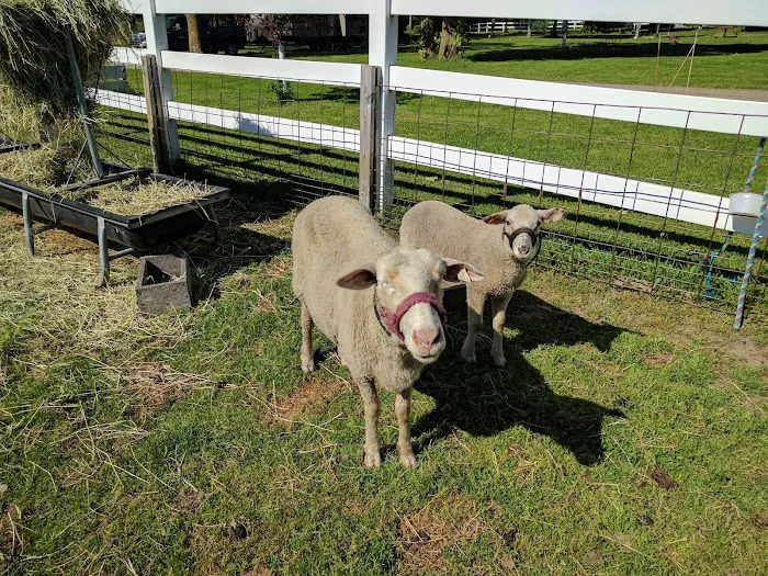 Red Barn Campground Picture 8