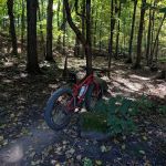 Lake Rebecca Park Reserve (South Group Camp)