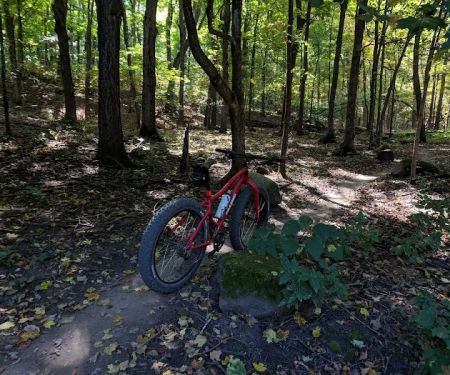 Lake Rebecca Park Reserve (South Group Camp)
