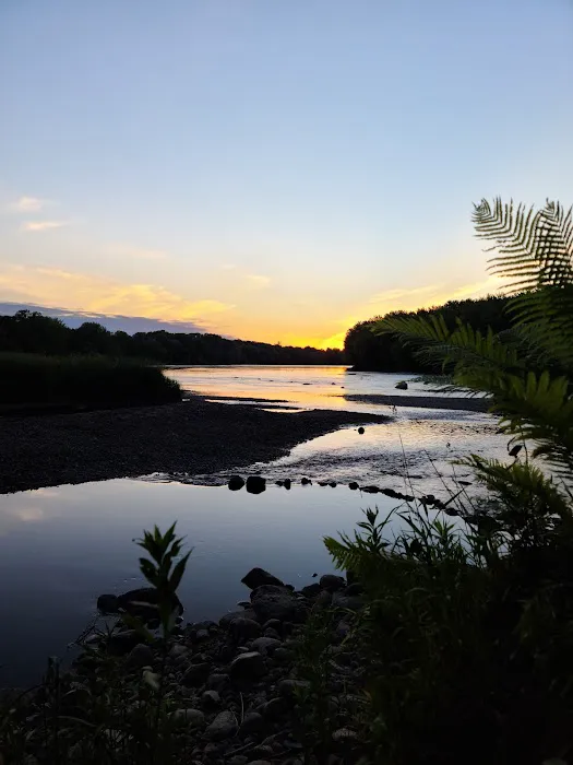 Dimmick Island Watercraft Campsite Picture 7