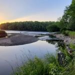 Dimmick Island Watercraft Campsite