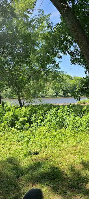 Dimmick Island Watercraft Campsite Picture 4