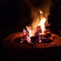 Moodys Wildwoods ico