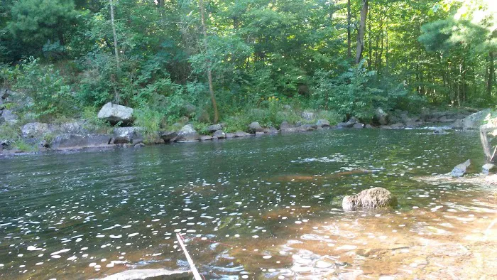 Clam Falls Campground Picture 4