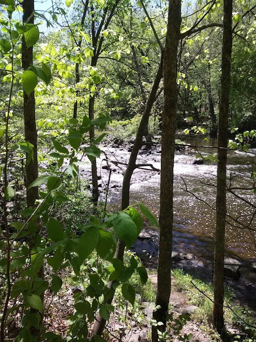 Clam Falls Campground Picture 10