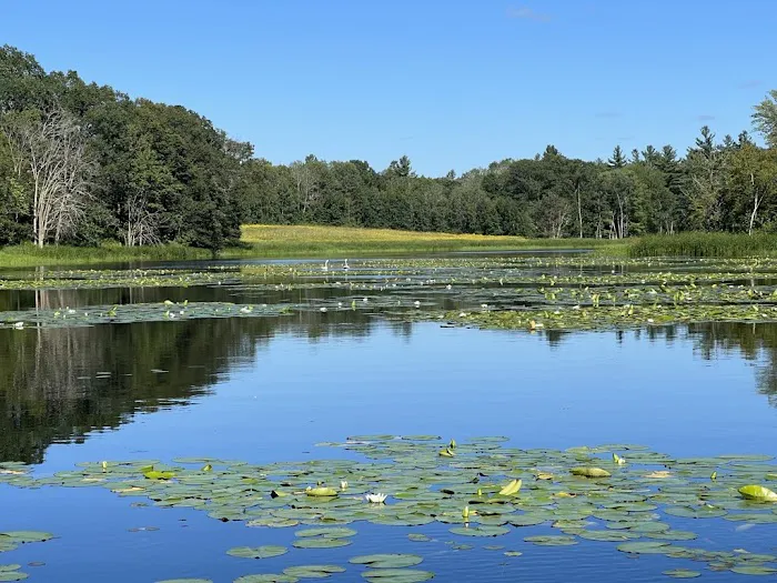 Nordlys Lodging Co. Picture 6