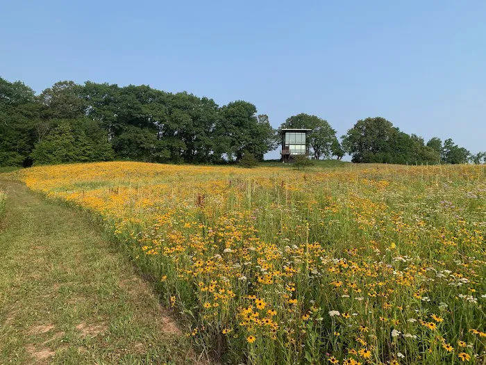 Nordlys Lodging Co. Picture 7