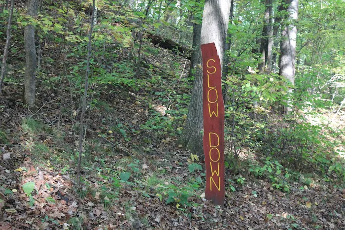 Camp Waub-O-Jeeg Picture 3