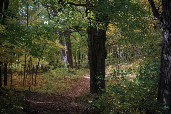 Freedom Valley Campground Picture 6