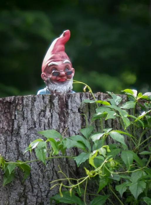 Freedom Valley Campground Picture 9