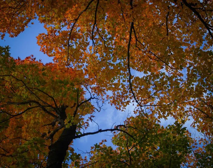 Freedom Valley Campground Picture 8