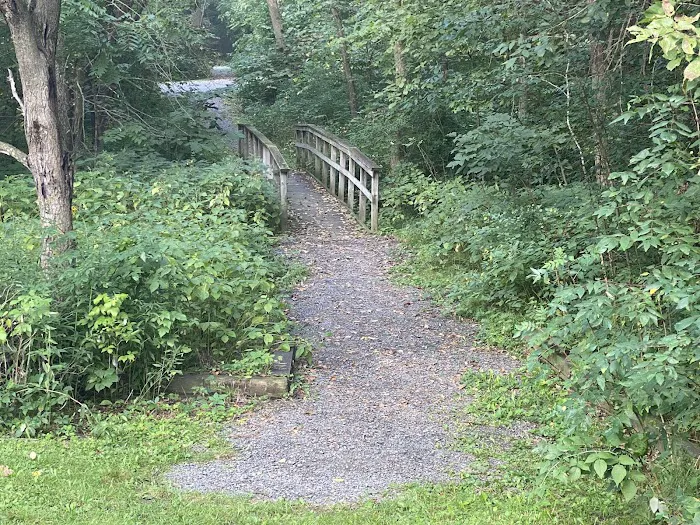 Interstate Park Campground Picture 6
