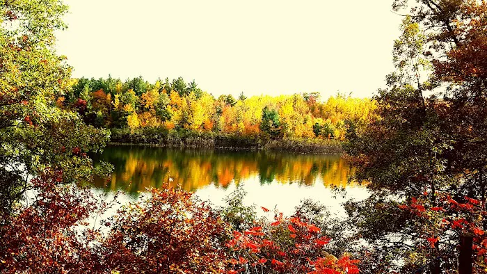 Scenic View Campground Picture 7