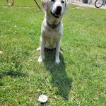 Wildwood RV Park & Campground