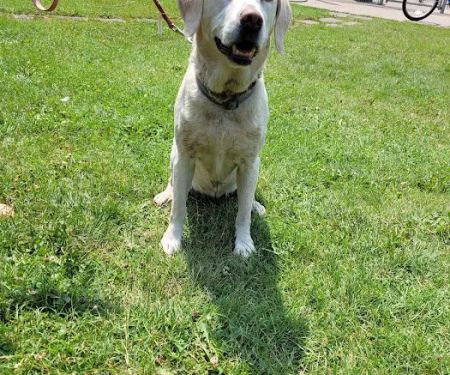 Wildwood RV Park & Campground