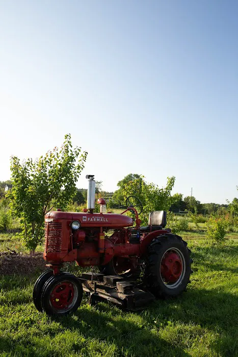 Stone Creek Farm Picture 6